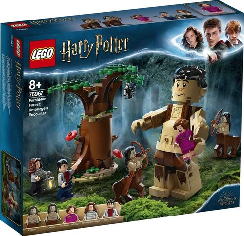 LEGO Harry Potter 75967 Begegnung mit Umbrid
